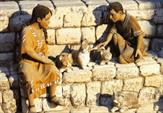 Bancaja - Niños con gato