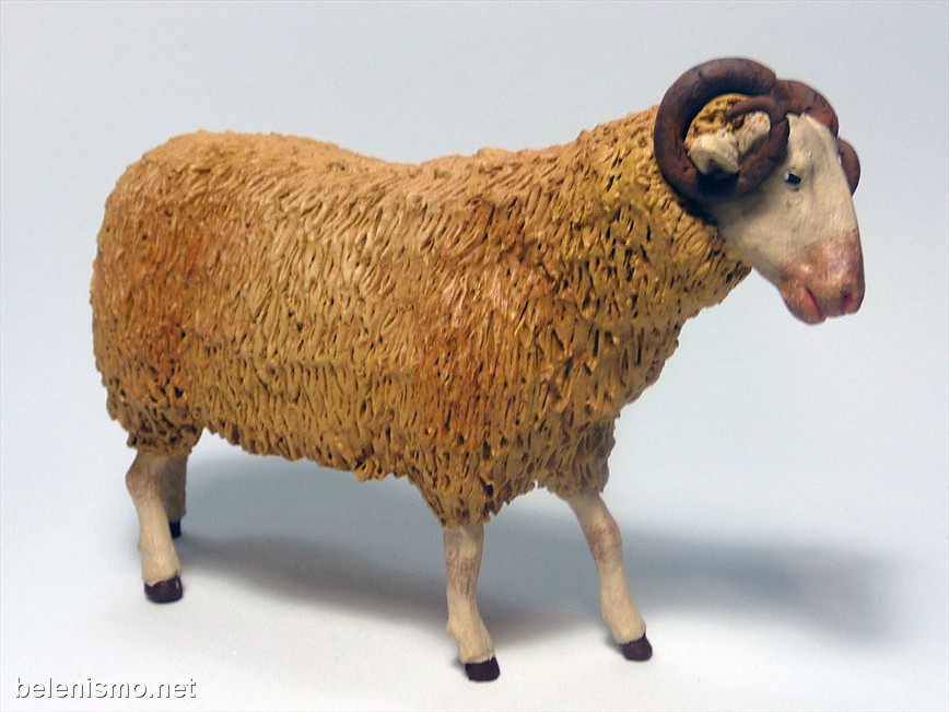 Borrego con cuernos