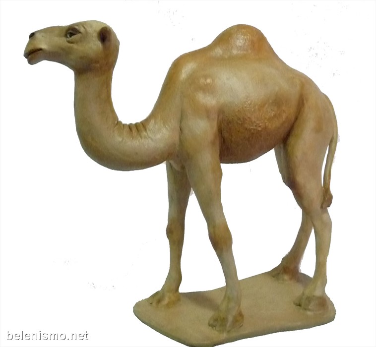 Camello de pie nº7