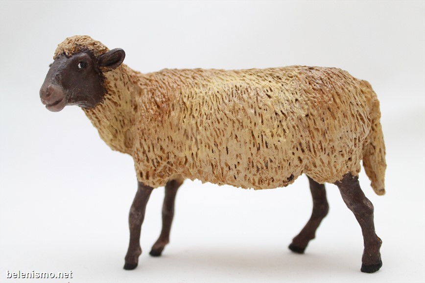 Borrega lana